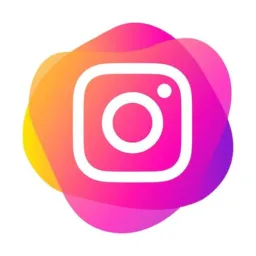 Seguidores do Instagram