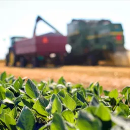 Agro Ariquemes -Vendas em Geral - Equipamentos & vagas de serviço