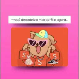 Bugs da Shopee