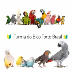 🔰 Turma do Bico Torto Brasil 🔰