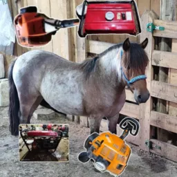 Brikis e vendas de cavalos, gados, maquinas agrícolas SC, RS,PR