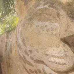 TUDO🐆 JAGUAQUARA BAHIA🐆