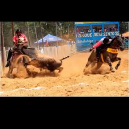 TV VAQUEJADA 🐎