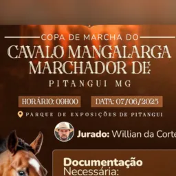 COPA DE MARCHA PITANGUI 2025