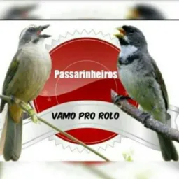 MARCA PRA FAZER 😎