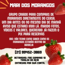 Morangos diretamente do Ceasa