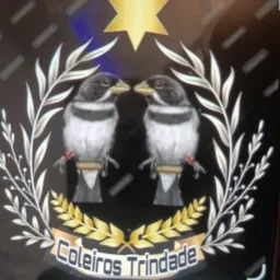 Pacapim de fibra