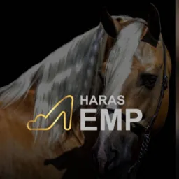 Oportunidades Haras EMP
