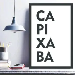 CAPIXABA LINKS