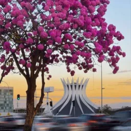 ⚜️ Profissionais da Construção Civil e Prestação de serviços BRASÍLIA DF 🇧🇷👨🎨👨🔧 ⚜️