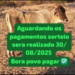 Rifa fechada para com core dia 30