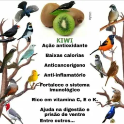 🇸🇲Frade e regiãos🇸🇲