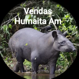 Vendas e Trocas