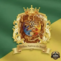 Abelhas Nativas do Brasil