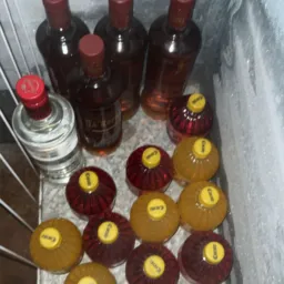 QUINTOU - Caiado e Ana 🥳
