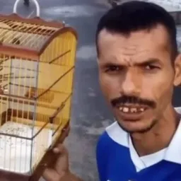 GRUPO DO ASSOBIO (ofc)🦅🦅🦅🦅🦅🦅🦅🦅🦅🦅🦅🦅