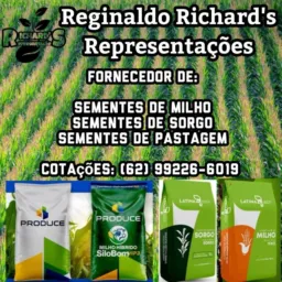 3️⃣🌽🌾Venda direta de sementes: Milho, Sorgo e Pastagem