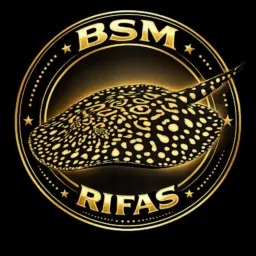 Bsm rifas 🐟🦈
