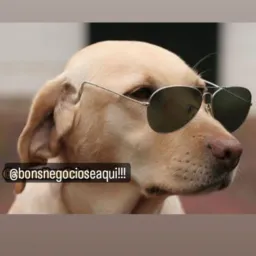 Bons negócios é aqui!!!