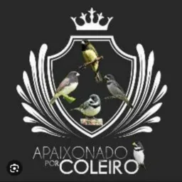 Coleiro fibra amigos.