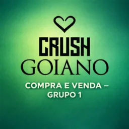 CRUSH GOIANO COMPRA & VENDA 1
