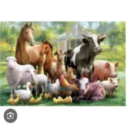 Somente vendas de animais