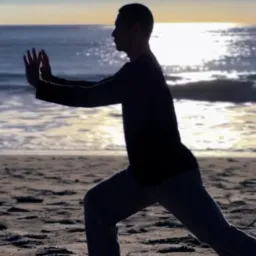 Tai Chi Qigong em Vídeo Aulas