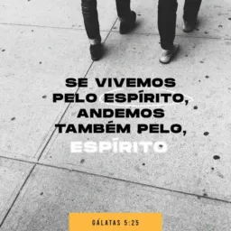 Tucumã vendas 00
