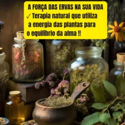 A FORÇA DAS ERVAS NA SUA VIDA
