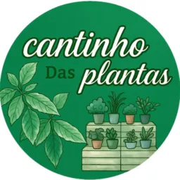 ✨CANTINHO das PLANTAS✨