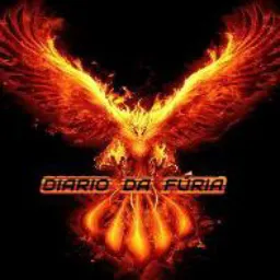 DIARIO DA FÚRIA