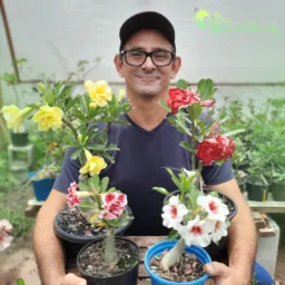 Tio Jorge RDs 🌸