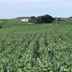 Agro indústria  venda  br