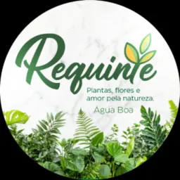 Requinte Plantas