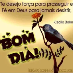 🛑Figurinhas&Vídeos engraçado 🔨🔨