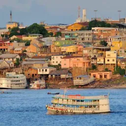 Prefeito e Vereador. 2024