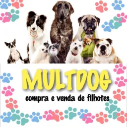 compra/venda de filhotes