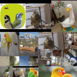 CRIADORES CARIACICA 🦜🐦