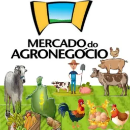 Mercado do Agronegócio Altamira👩🏾🌾🌱🧑🏼🌾