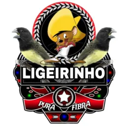 Venda e troca de passarinho de Bonito