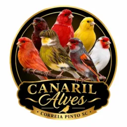 ✨Rifas canários ✨