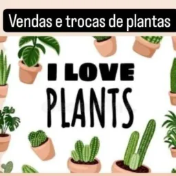 Vendas de (plantas🌱) e trocas de plantas 🪴