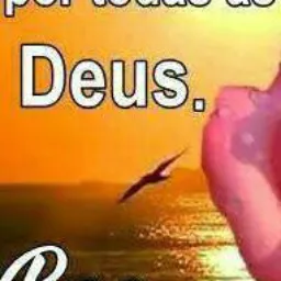 SAO BENTO OS LOUCOS PRA TROCAS E VENDAS CHAMA 🔥