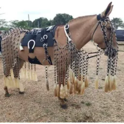 Venda de traia