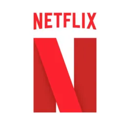 NETFLIX SOMENTE 19,00