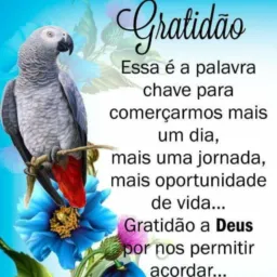 Amigos Do Bem combinado