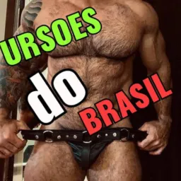 🐻URSÕES do BRASIL🇧🇷