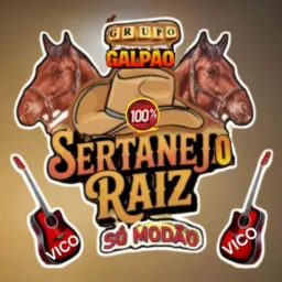 🎵 GALPÃO SERTANEJO 🎵