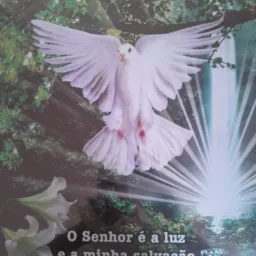 Fé🔥Sabedoria👼e Motivação😃