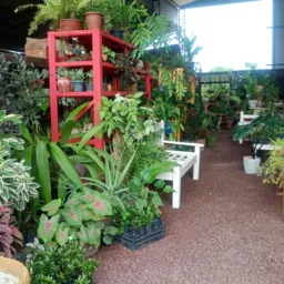 Floricultura DECORART